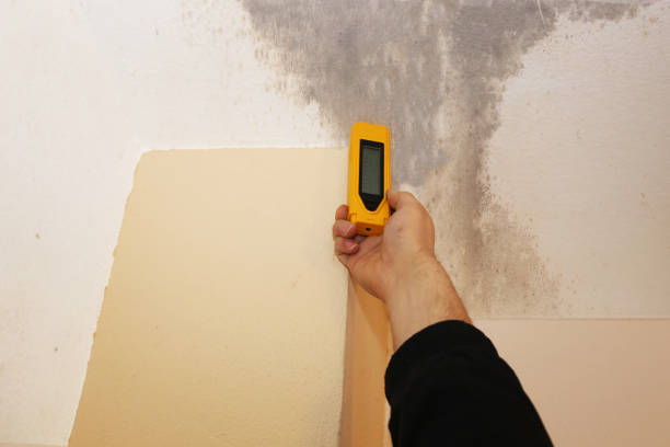 Best HVAC Mold Inspection and Cleaning  in Granite Falls, NC
