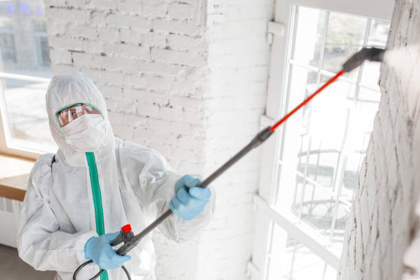 Best Post-Construction Mold Inspection  in Granite Falls, NC