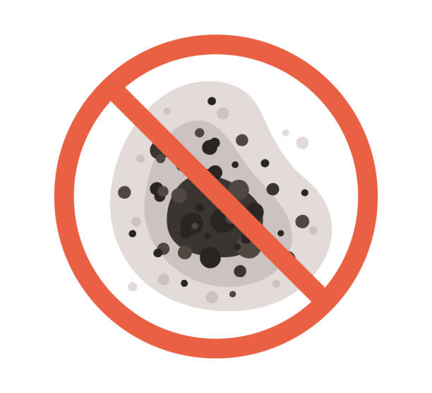 Best Airborne Mold Testing  in Granite Falls, NC