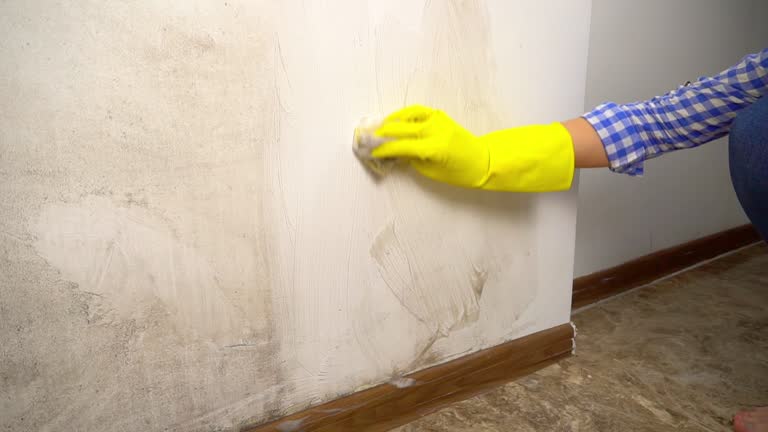 Best Attic Mold Removal  in Granite Falls, NC