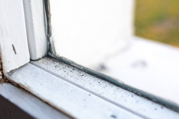 Best Residential Mold Inspection & Testing  in Granite Falls, NC