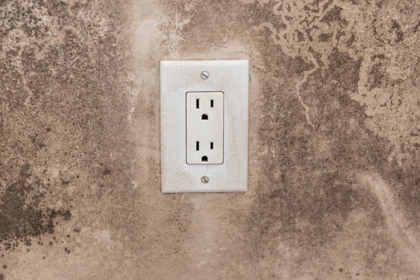 Best Industrial Mold Remediation  in Granite Falls, NC